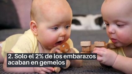 8 datos curiosos sobre el feto durante el embarazo