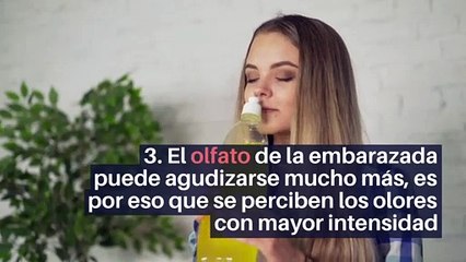 10 curiosidades sobre el embarazo