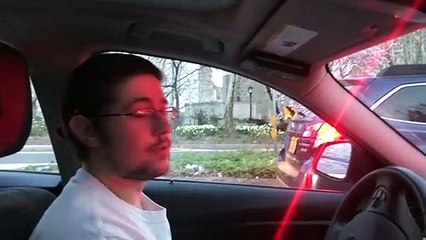 Rachel Blue and Gold Macaw - Talking in the Car