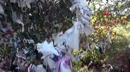 Zeus Altarı'nda 'dilek ağaçları' tıbbi maskelerle doldu