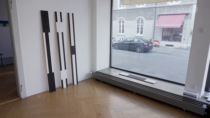 Daniel Göttin: Multiplex / Hebel_121, Basel