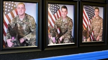 Military Working Dog Handler • U.S Air Force Security Forces • 2020