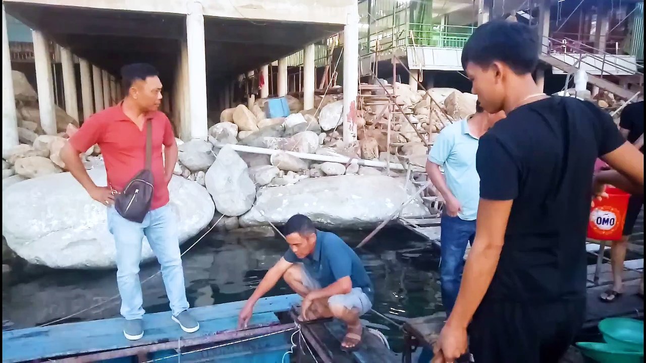 Mực nháy cảng Vũng Áng Hà Tĩnh