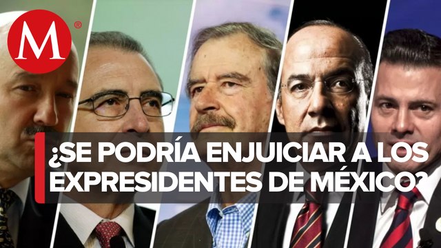 Hugo Concha, Javier Martín. La consulta de juicio a expresidentes y sus pronósticos