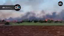 Controlado el incendio en el Parque Natural de la Albufera de Mallorca tras arrasar 438 hectáreas