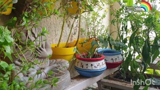 22 Warli art Pot decoration  Easy pot painting new look to your garden Simple pot painting idea