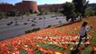 غرس آلاف الأعلام الإسبانية في متنزه بمدريد تكريماً لضحايا كورونا