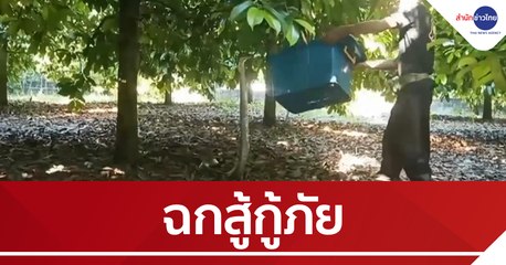 ระทึก! จงอางยักษ์ยาว 4 เมตร ไล่ฉกสู้กู้ภัย