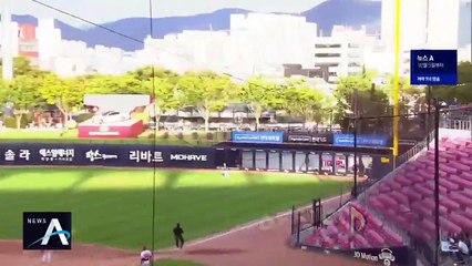 햇빛이 감춘 뜬 공…행운의 3루타 내준 롯데 손아섭