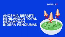 [INFO GRAFIS] Apa Itu Anosmia Pada Pasien Covid-19?