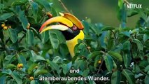 David Attenborough- A Life On Our Planet (German Trailer 1 Subtitled)