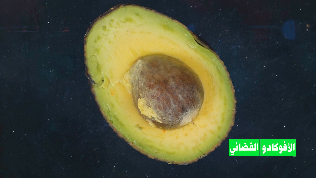 الأفوكادو ينضم إلى محاصيل الفضاء