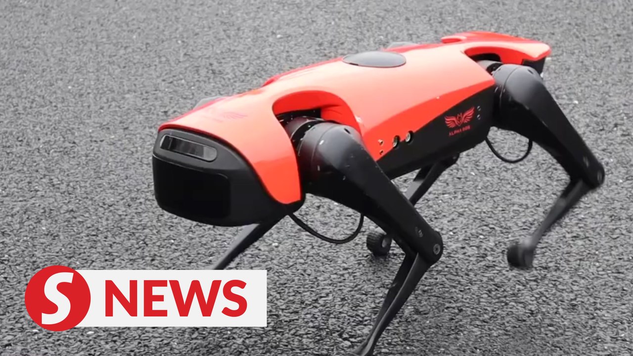 Meet "AlphaDog", a robotic dog 