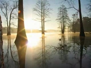 Amorphis - Summers End