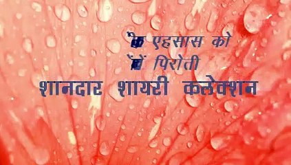 shaandar shayri collection. part-8 दोस्ती पर शायरियां जो कि दिल के जज़्बों को इज़हार करती हैं