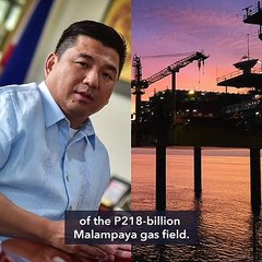 Dennis Uy wants entire Malampaya gas field after Shell exit