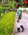 Thrissur man’s ‘roadside’ organic vegetable garden is free for all