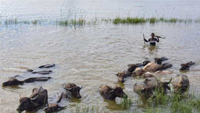 Assam floods worsen: Around 2 Lakh people affected