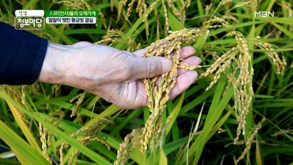 '밥'에 진심인 민족╭(๑•̀ㅂ•́)و  맛있는 밥 고르는 법