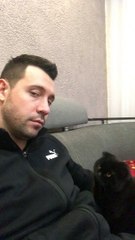 Clingy Kitty Wants a Hug