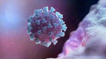 90% of world's population still susceptible to coronavirus: WHO chief scientist
