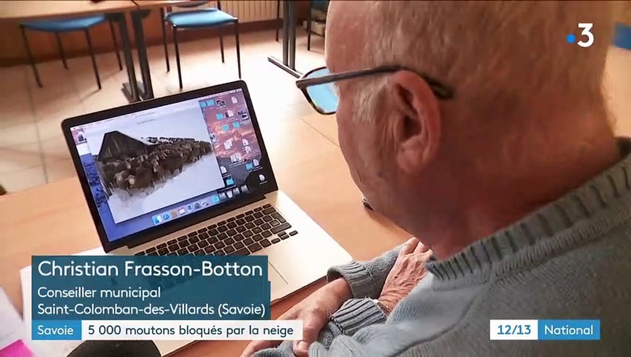 Savoie : 5 000 moutons bloqués à 2 000 mètres d'altitude par la neige