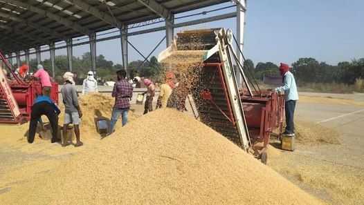 Even middlemen pay less when MSP halts: India Today probes 'arhtiyas' in Punjab - video dailymotion