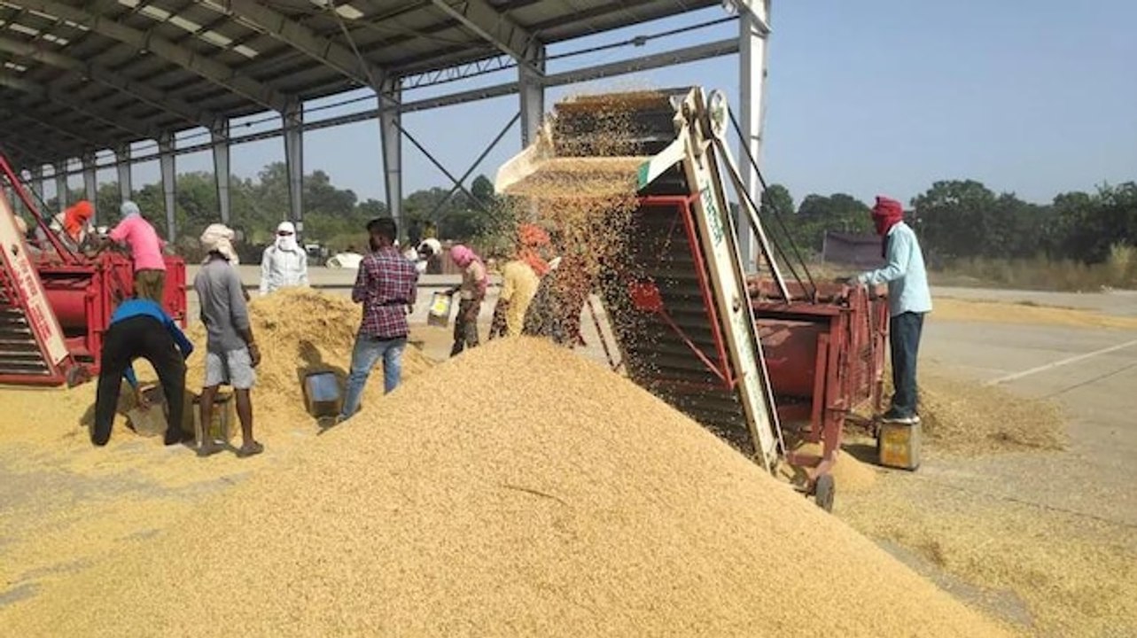 Even middlemen pay less when MSP halts: India Today probes 'arhtiyas' in Punjab