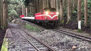 Alishan Forest Railway, cargo train (Feb.6.2018)