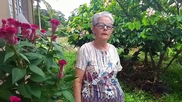 Centro Diurno de Ancianos de Palmares – María Elena Moya