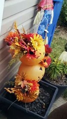 Curious Deer Wants to Enter Home