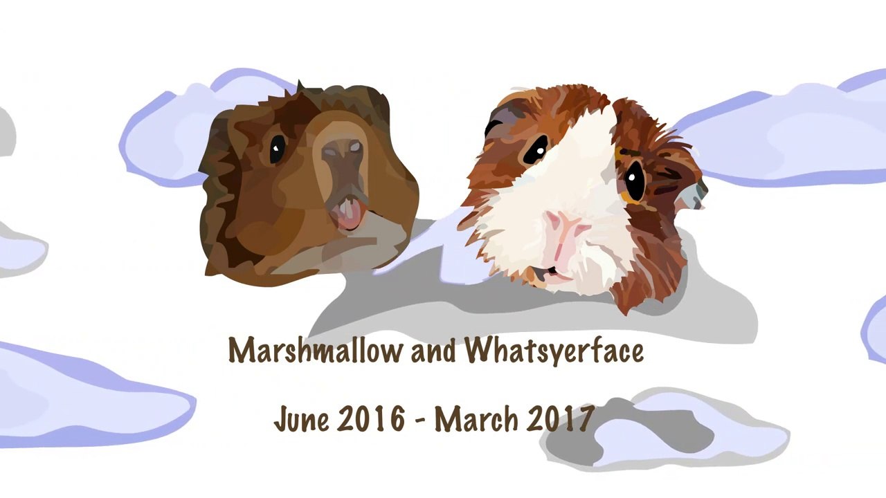The Demise of Marshmallow and Whats-yer-face