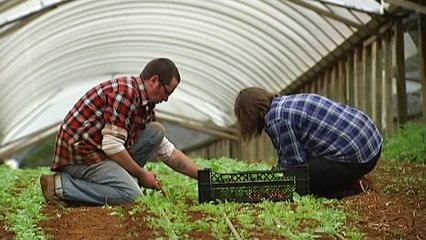 Federal Budget business boost tops $30 billion