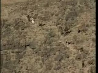 OUED DRAA part 4