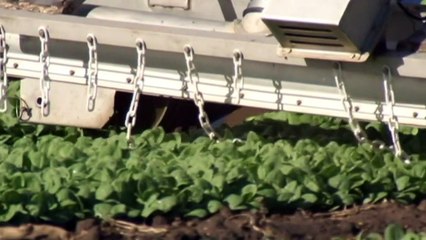 Farm labour for rural Australia targeted in Federal Budget