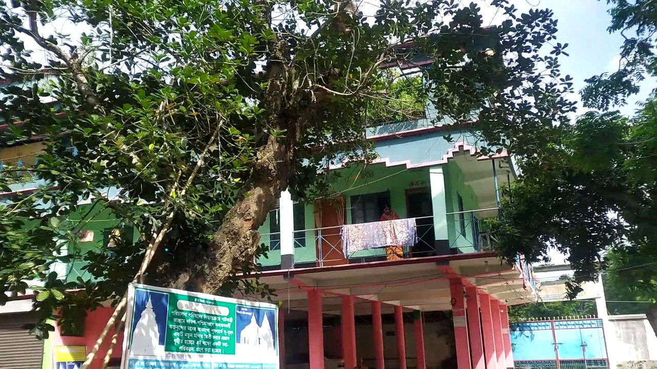 Benapol Tour_Part 2