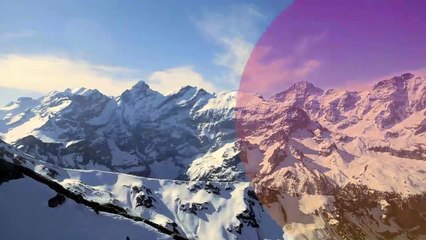 Fatture Gonfiate Shedir Pharma | Top things you need to know for an awesome experience