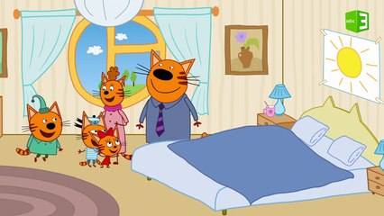 فرحة القطط بشفاء والدتهم 