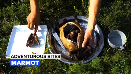 Adventurous Bites: This Mongolian dish is delicious but deadly