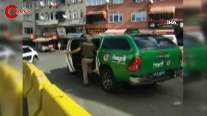 3 köpeği bıçaklayıp birini öldürdü, serbest bırakıldı!