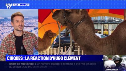 Fin progressive des fauves dans les cirques - 29/09