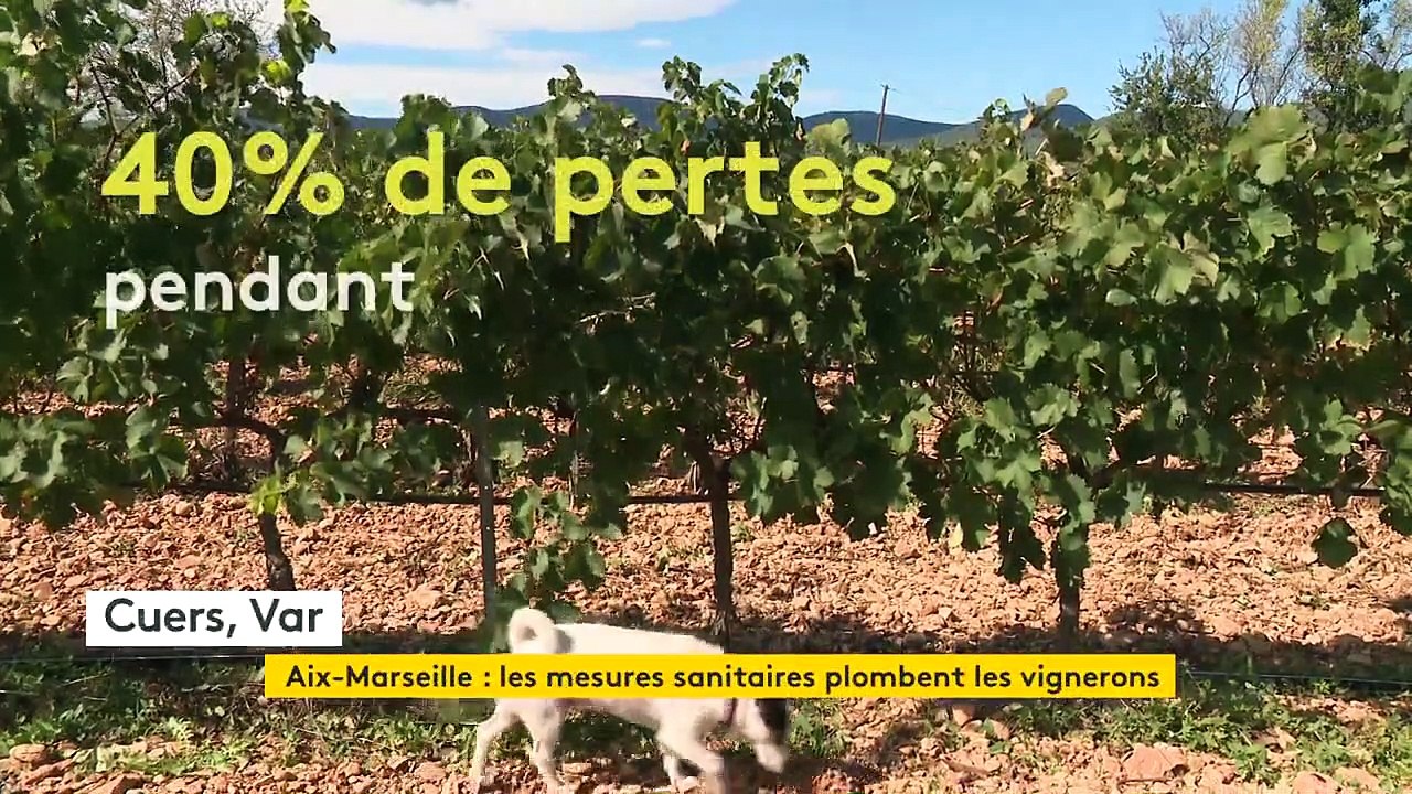 Fermeture des bars et restaurants : les viticulteurs ont la gueule de bois