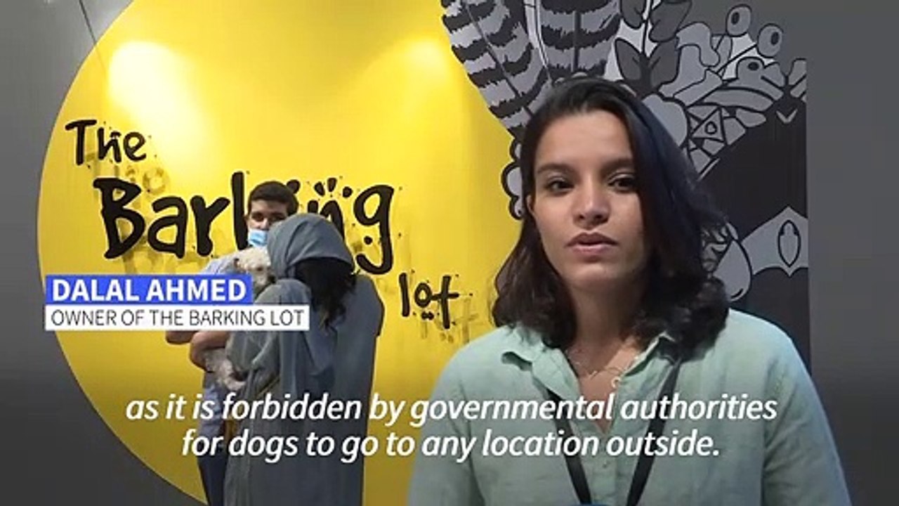 Saudi Arabia's first dog cafe delights pet lovers