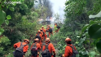 Les célèbres vignobles californiens de la Napa Valley en proie aux flammes