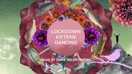 Amelia Warner - Lockdown Kittens Dancing