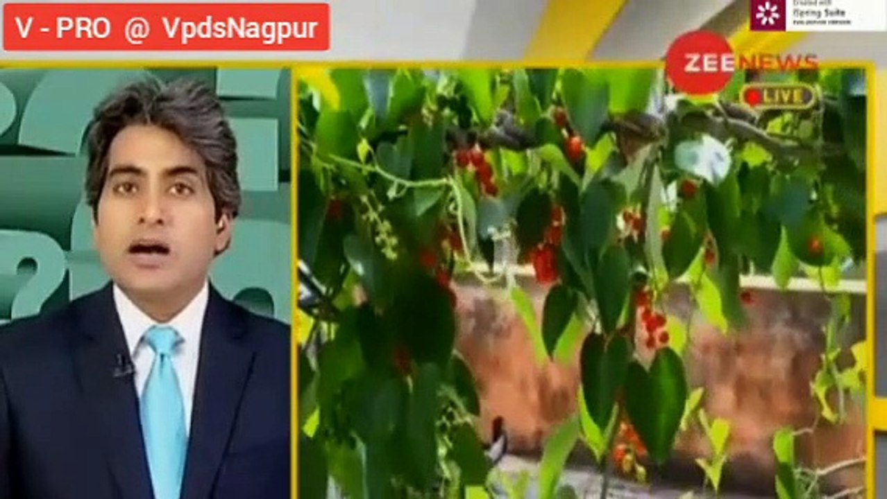 ZEE News Report on Guduchi/Giloy (Tinospora Cordifoila)
