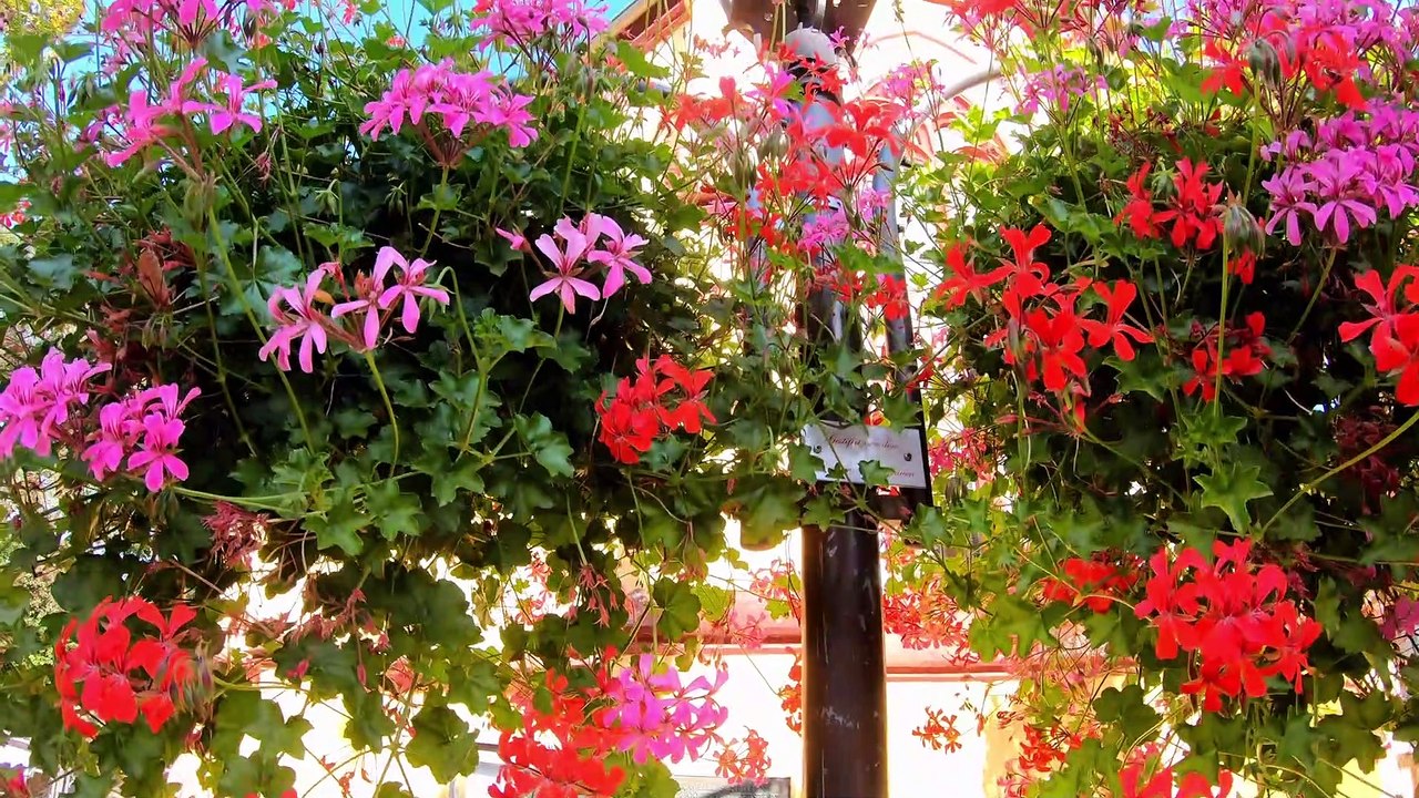 Scheurener Hof Hotel Restaurant in Unkel am Rhein Ortsteil Scheuren