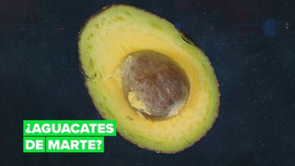 La NASA llevará los aguacates a Marte