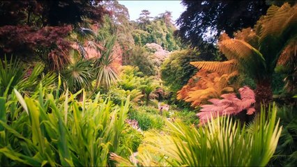 DER GEHEIME GARTEN Film - Colin Firth, Dixie Egerickx, Julie Walters, Jemma Powell, Maeve Dermody, Amir Wilson