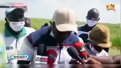 VIDEO/MANSOUR FAYE «J'ai reçu Sonko dans mon bureau... »